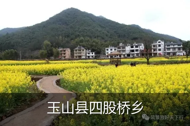 玉山县四股桥乡